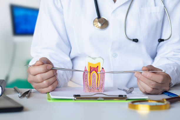 Best 24-Hour Emergency Dentist in Mcdade, TX